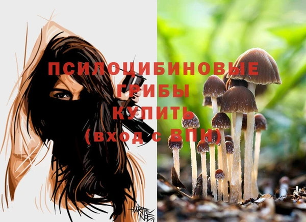 jwh Алексеевка