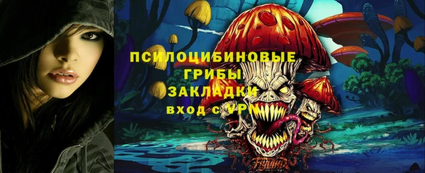 Альфа ПВП Алексин